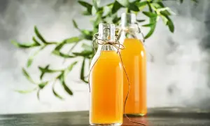 Dwie butelki z domową kombuchą, idealne do wypróbowania prostego kombucha przepis. Zielone liście w tle dodają świeżości.