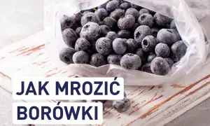 Mrożone borówki w woreczku. Dowiedz się, czy można mrozić borówki i jak to zrobić, by zachowały świeżość.
