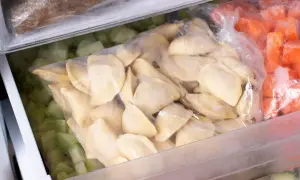 W zamrażarce leżą torby z mrożonkami: pierogi, zielone warzywa i marchewka.