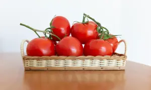Kilka dojrzałych pomidorów na gałązkach w wiklinowym koszyku. Idealne do przechowywania, by zachować świeżość.