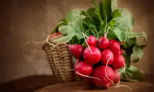 Pęczek świeżych, czerwonych rzodkiewek z zielonymi liśćmi, częściowo w wiklinowym koszyku. Zastanawiasz się, czy rzodkiewkę można mrozić?