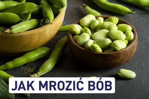 Świeży bób w łupinach i wydłubany, gotowy, by dowiedzieć się, jak zamrozić bób na zimę.