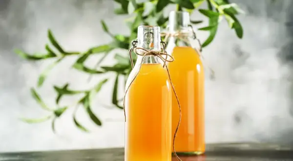 Dwie butelki z domową kombuchą, idealne do wypróbowania prostego kombucha przepis. Zielone liście w tle dodają świeżości.