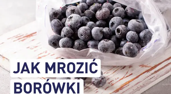 Mrożone borówki w woreczku. Dowiedz się, czy można mrozić borówki i jak to zrobić, by zachowały świeżość.