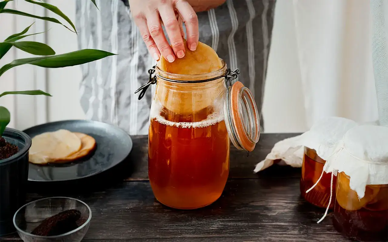 Ręce dodają SCOBY do słoika z napojem. To początek tworzenia pysznej, domowej kombuchy.