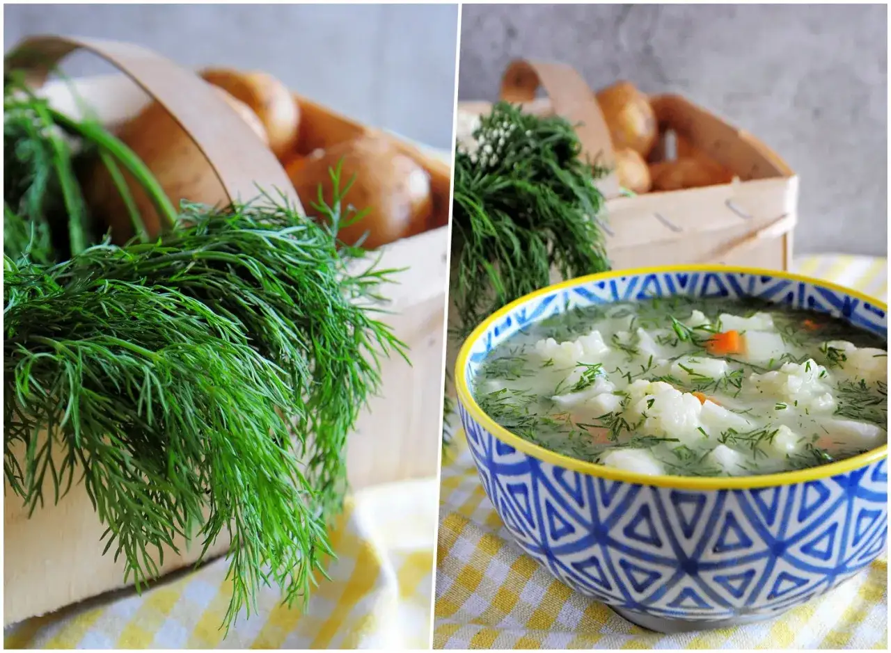 Aromaticzna zupa koperkowa z ziemniakami i marchewką, przygotowana ze świeżego koperku i ziemniaków z koszyka.